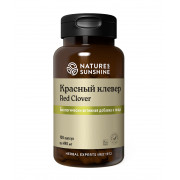 Красный Клевер - Red Clover